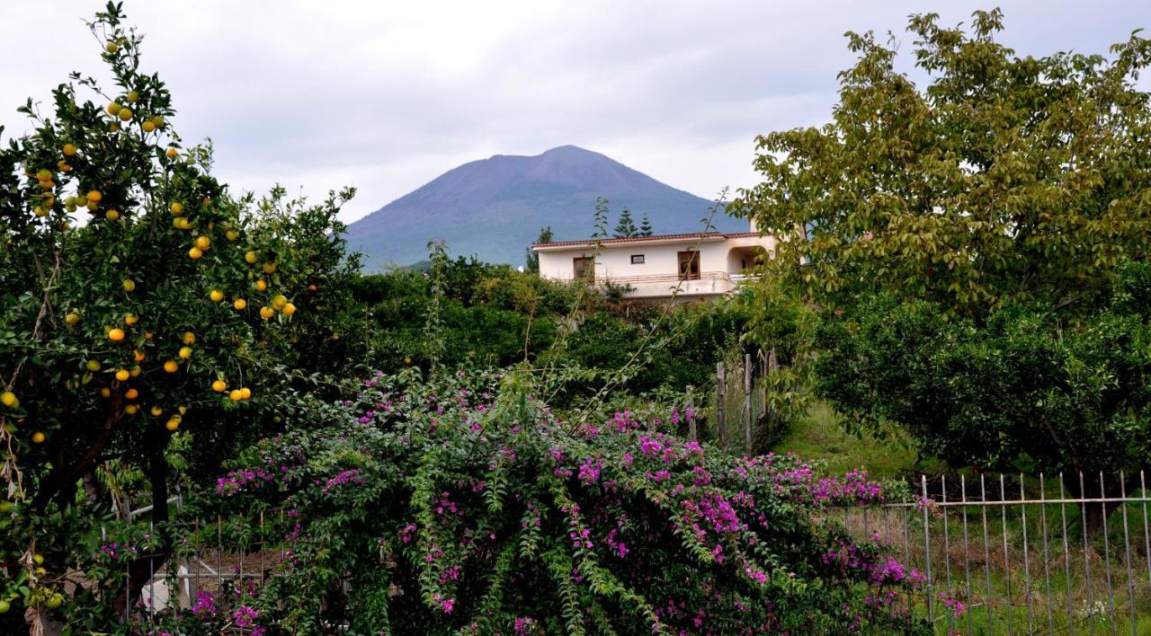 B&B Casa Di Donna Trecase Екстериор снимка