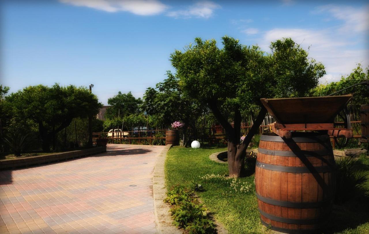 B&B Casa Di Donna Trecase Екстериор снимка