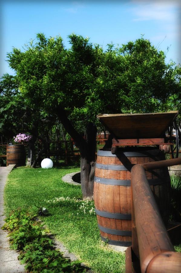 B&B Casa Di Donna Trecase Екстериор снимка